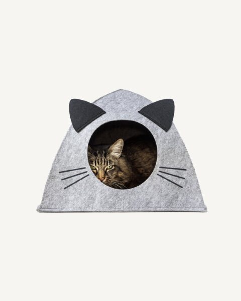 Cats Home