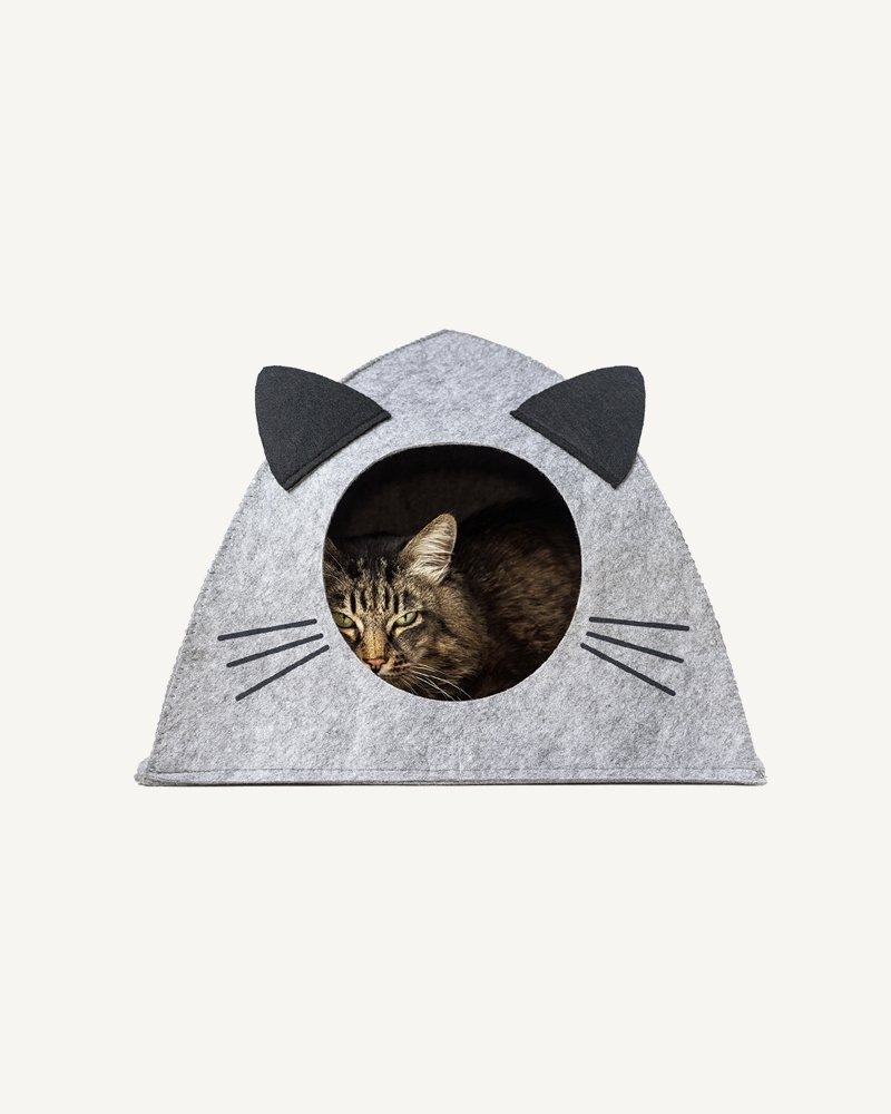 Cats Home