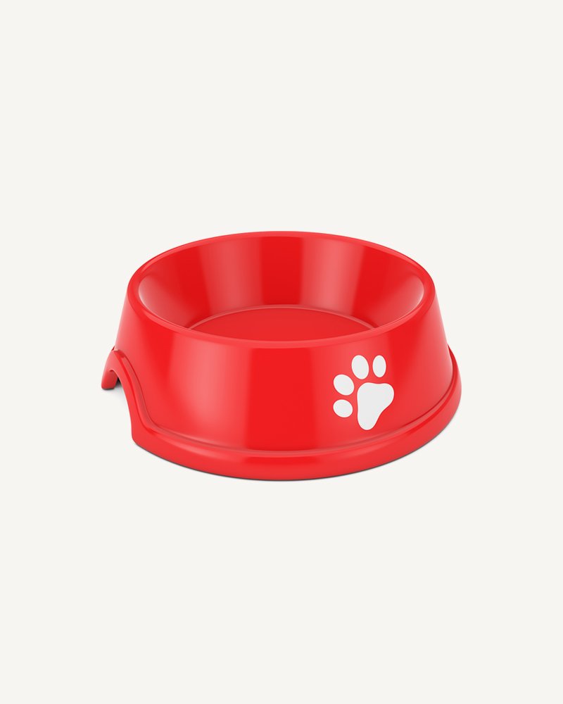 Water Bowl