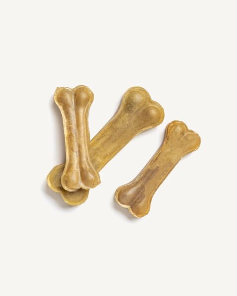 Dog Bone