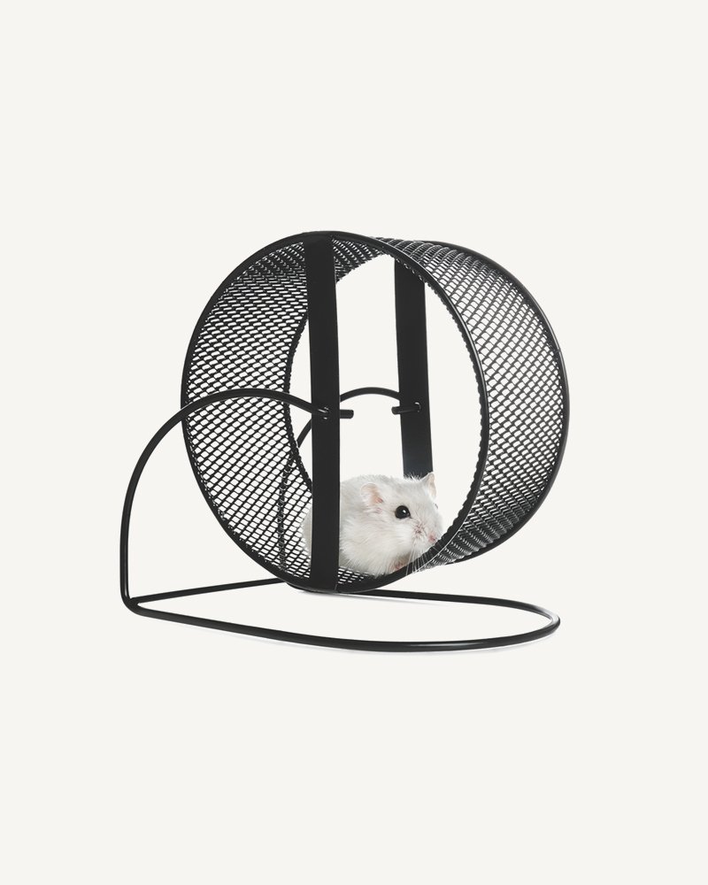 Hamster Wheel