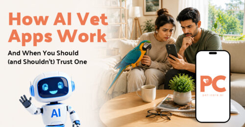 Best Pet Care Apps